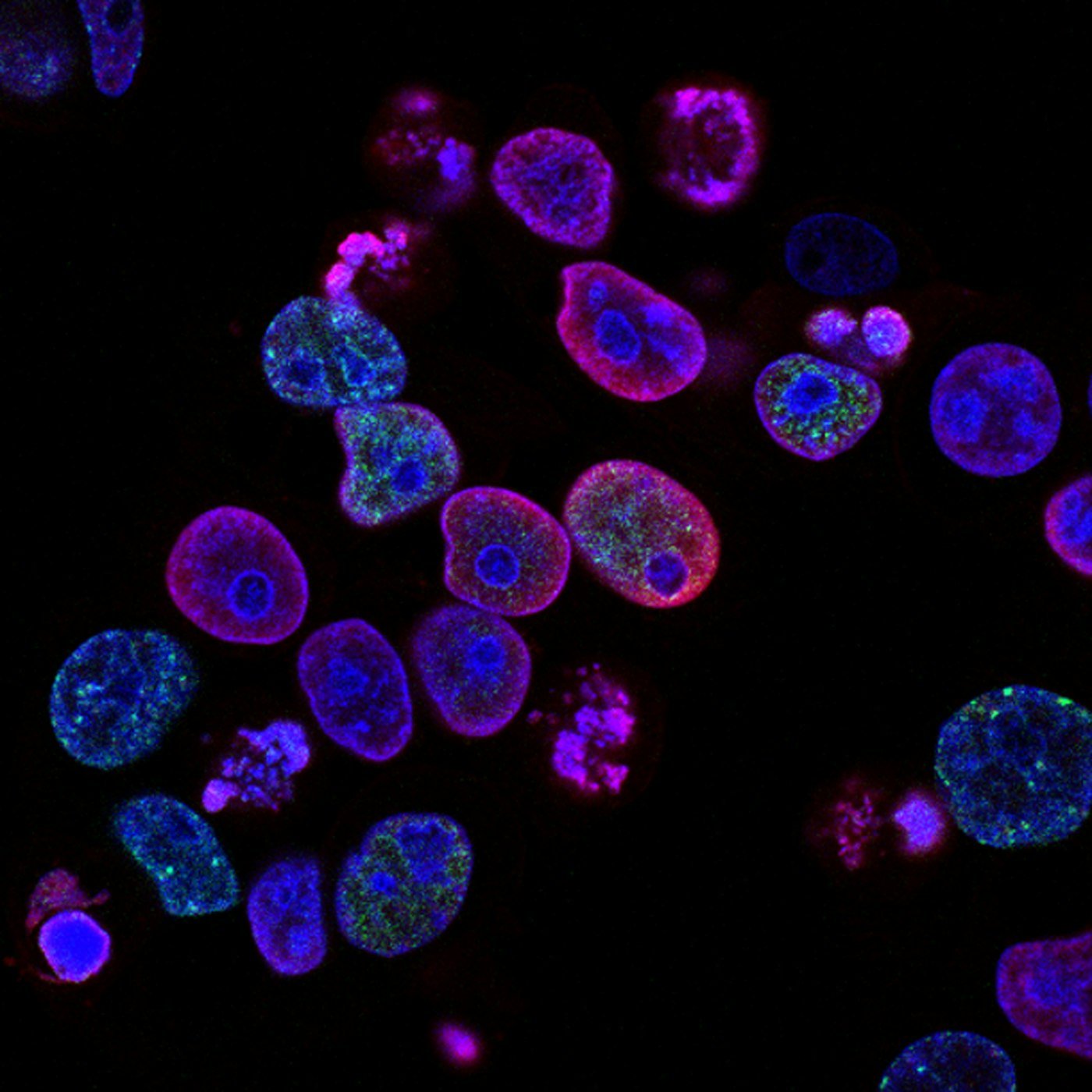 Faculty Research Grants Announced
