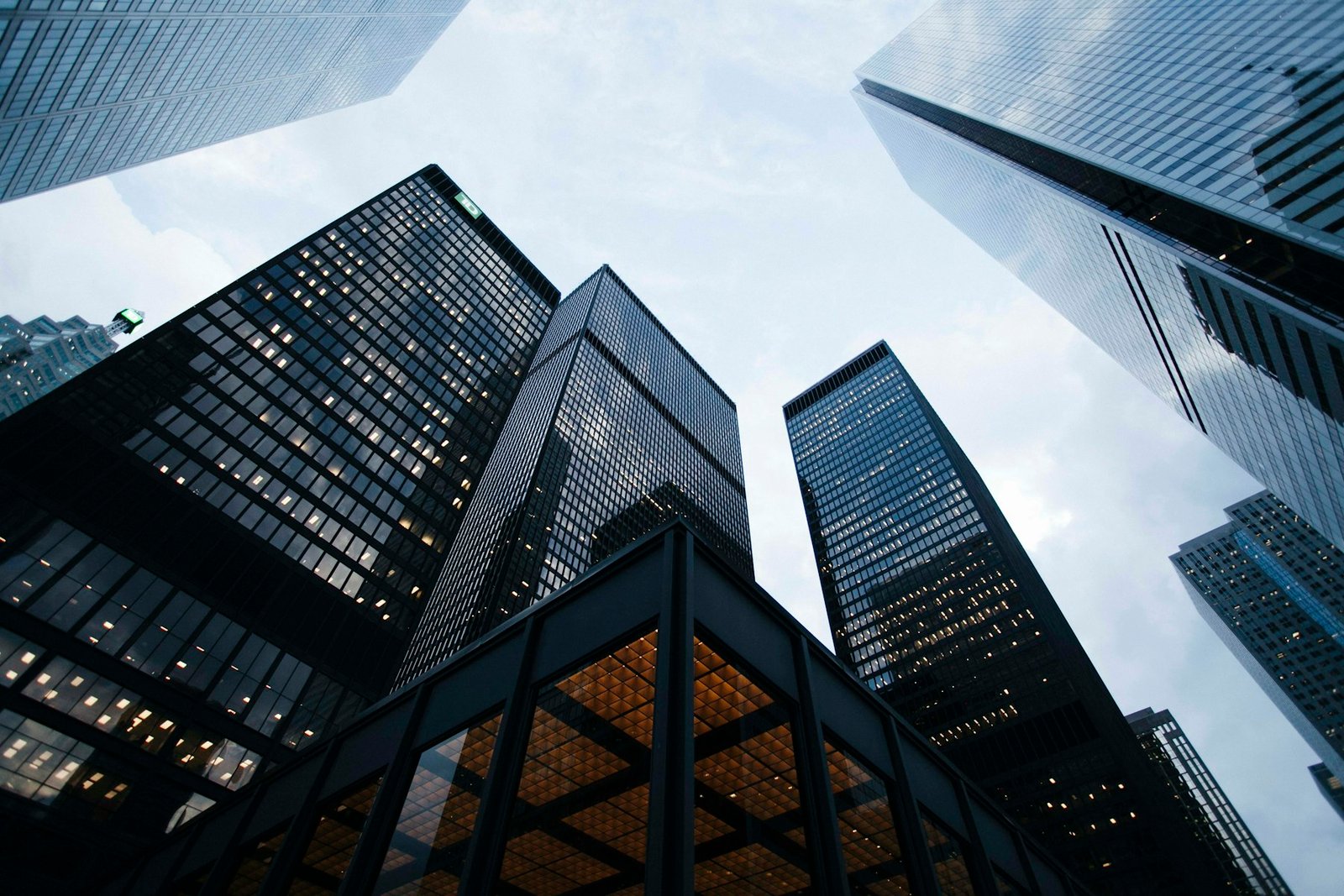 Organizational Structure